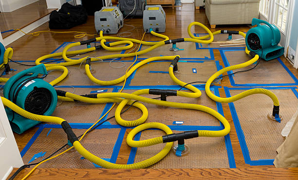 Professional Water Damage Repair technician working in New Bremen, OH