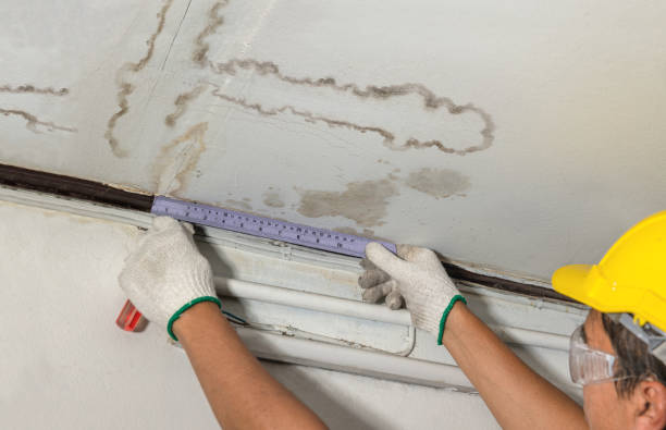 Affordable Water Damage Repair solutions in New Bremen, OH
